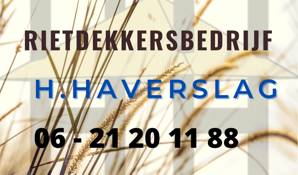 hhaverslagdienstverlening.nl